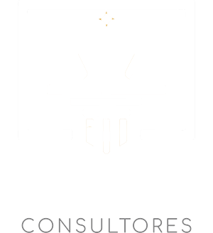 Integra consultores